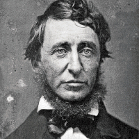 Henry David Thoreau MBTI 성격 유형 image