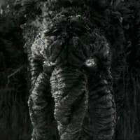 Ted Sallis "Man-Thing" tipo di personalità MBTI image