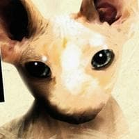 SCP-040-JP "There was a cat" MBTI Personality Type image