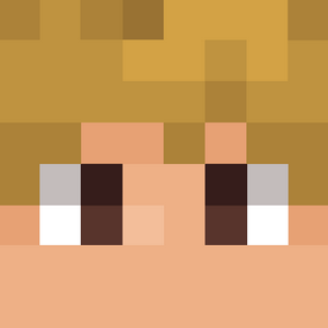 profile_SolidarityGaming (Life Series SMP)