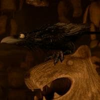 The Crow tipo di personalità MBTI image
