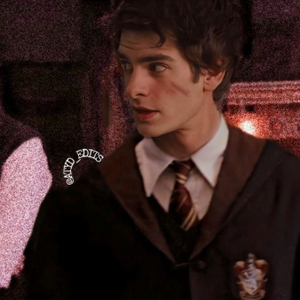 profile_Remus Lupin