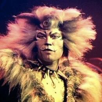 Rum Tum Tugger tipo di personalità MBTI image