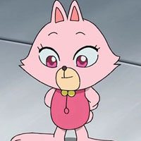 profile_Chako