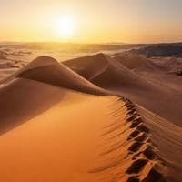 The Sahara نوع شخصية MBTI image