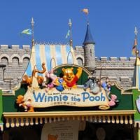 The Many Adventures of Winnie the Pooh (attraction MBTI Personality Type image