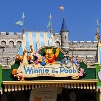 The Many Adventures of Winnie the Pooh (attraction тип личности MBTI image