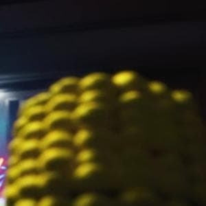 profile_Corn