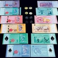 Malaysian Ringgit (MYR) mbtiパーソナリティタイプ image