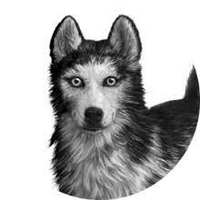 Alpha (Dog/Wolf) mbti kişilik türü image