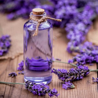 Lavender MBTI性格类型 image