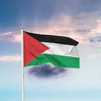 profile_Palestine board
