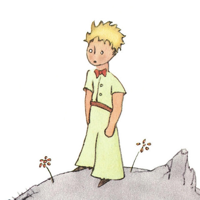 The Little Prince tipo di personalità MBTI image
