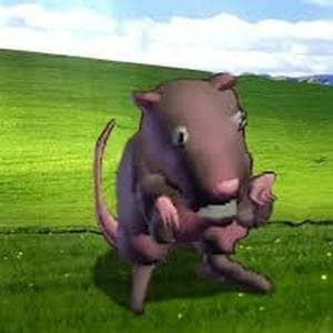 profile_Ratatin