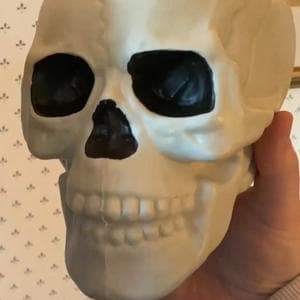profile_The Skull (Ghost of Halloween Future)