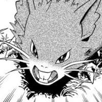 profile_Raticate