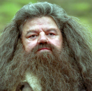 Rubeus Hagrid type de personnalité MBTI image