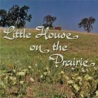 Little House on the Prairie type de personnalité MBTI image