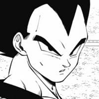 profile_Vegeta (Universe 18)