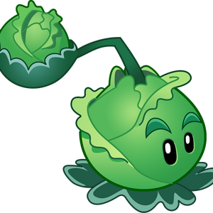 profile_Cabbage-Pult