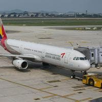 Asiana Airlines тип личности MBTI image