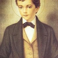 St. Dominic Joseph Savio tipo di personalità MBTI image