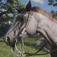 Horse tipe kepribadian MBTI image