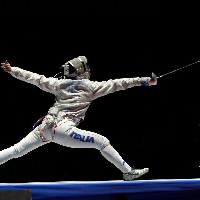 Fencing MBTI Personality Type image