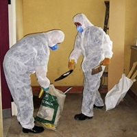 Forensic Cleaner typ osobowości MBTI image