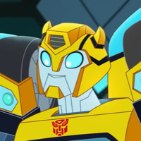 profile_Bumblebee