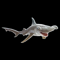 profile_Hammerhead Shark