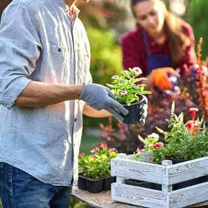 profile_Gardening