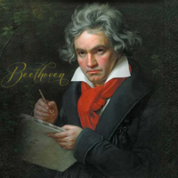 Ludwig van Beethoven - Moonlight Sonata (Sonata al chiaro di luna) mbti kişilik türü image