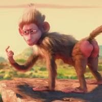 Baboon tipo de personalidade mbti image