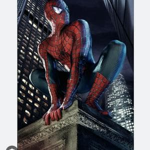 profile_Spider-Man (persona)