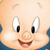 Porky Pig tipo di personalità MBTI image