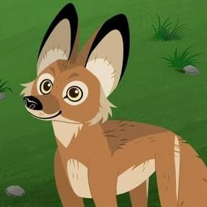 profile_Adapto