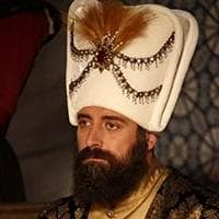 Sultan Süleyman I type de personnalité MBTI image