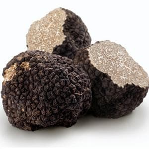 profile_Truffle mushroom