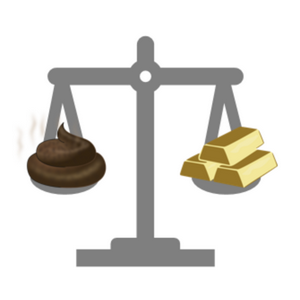 profile_Balance Fallacy
