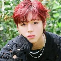 Park Jihoon тип личности MBTI image