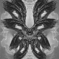 Seraphim MBTI Personality Type image