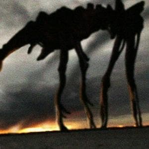 profile_Day 18 ( Wandering doom )