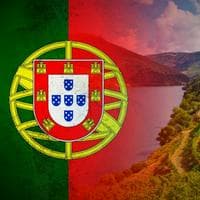 A Portuguesa (Portugal) tipo de personalidade mbti image