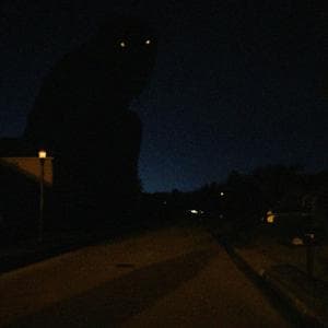 profile_Overlooker