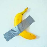 Comedian (Duct-taped banana) MBTI Personality Type image