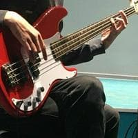 profile_Bass guitar