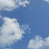 Sky MBTI 성격 유형 image