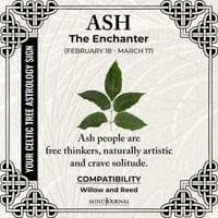 profile_Ash, the Enchanter