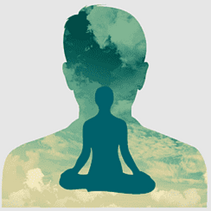 profile_Intra-personal Intelligence (Self Smart”)